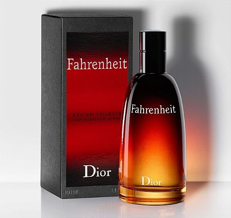 Perfume Fahrenheit Eau de Toilette Masculino 100ml - Dior