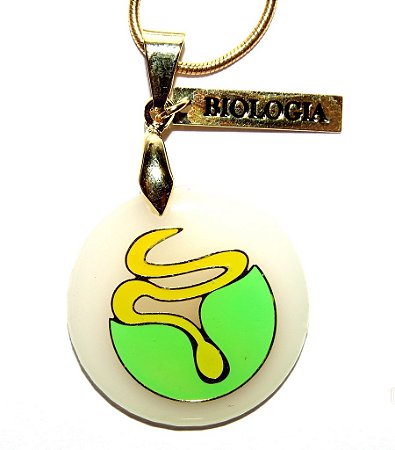 Colar Biologia Color - Folheado a Ouro