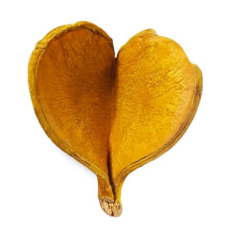 Fava Coração de Oxum Proteção Espiritual e Beleza Unidade
