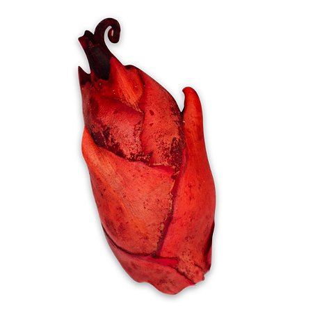 Fava Flor de Pombagira Ligação ao Amor Tipo 2 - Unidade
