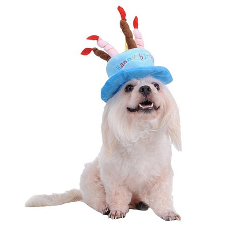 Fantasia Chapéu de Bolo de Aniversário para Cachorros e Gatos Azul