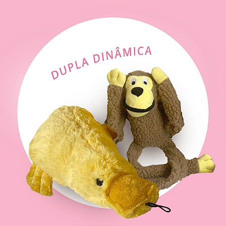 Brinquedo para Cachorros Kit Dupla Dinâmica