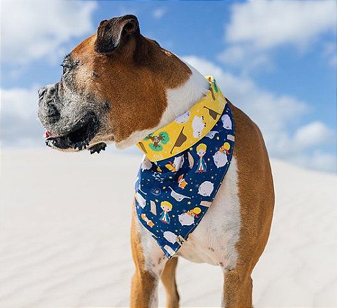 Bandana para Cachorros e Gatos Dupla Face Pequeno Príncipe