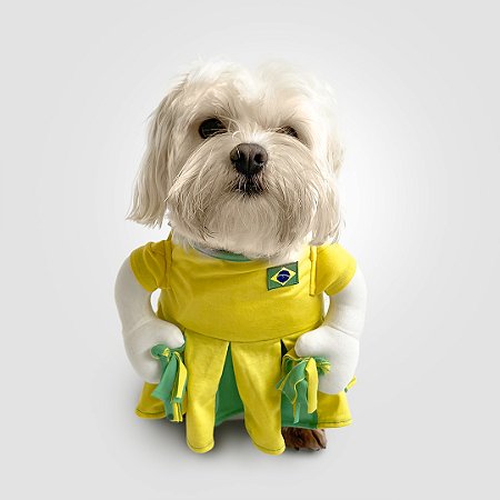 Fantasia para Cachorros Torcida do Brasil