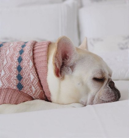 Tricot  para Cachorros e Gatos Suéter Serena