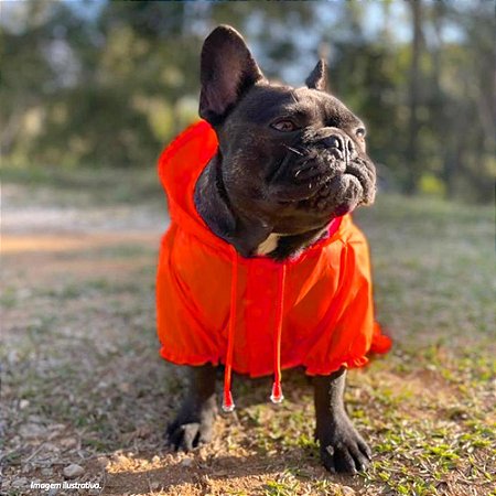 Capa de Chuva para Cachorros Laranja Neon