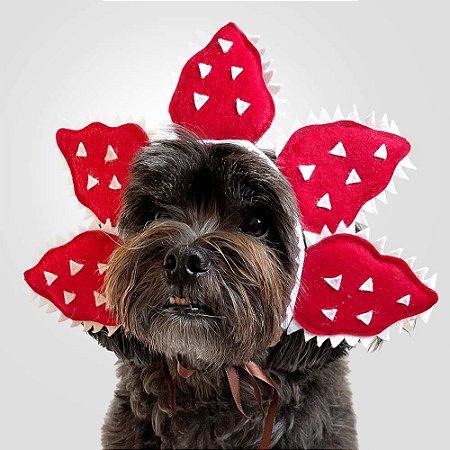 Fantasia para Cachorros e Gatos Stranger Things Demogorgon