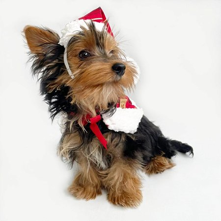 Poncho com Gorro de Natal Xadrez Vermelho para Cachorros e Gatos