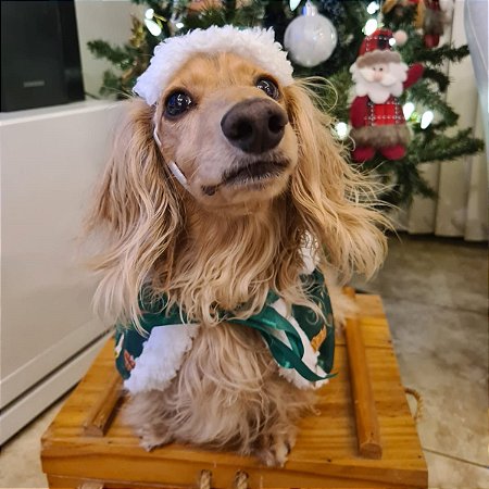 Poncho com Gorro Enfeites de Natal para Cachorros e Gatos