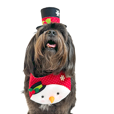 Fantasia de Natal para Cachorros e Gatos Boneco de Neve Fofo