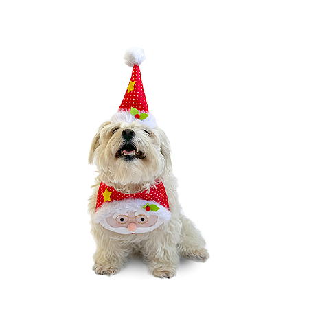 Fantasia de Natal para Cachorros e Gatos Papai Noel Fofo