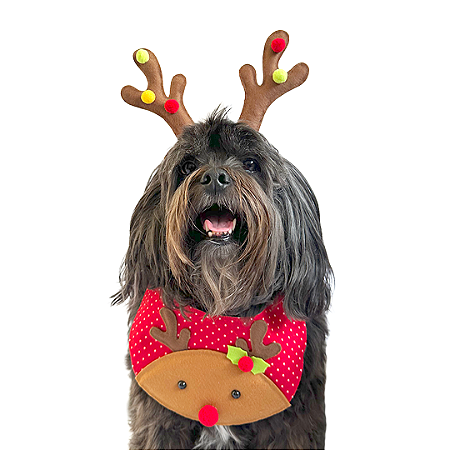 Fantasia de Natal para Cachorros e Gatos Rena Fofa