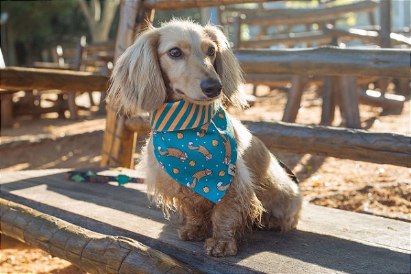 Bandana para Cachorros e Gatos Dupla Face Fox