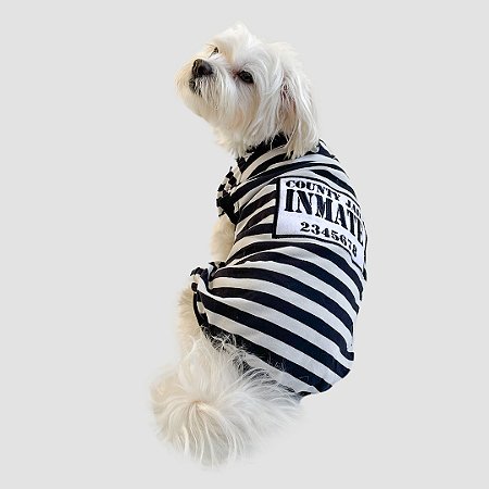 Regata para Cachorros Presidiário