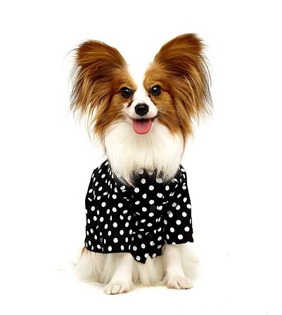 Camisa para Cachorros Polka P&B