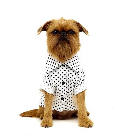 Camisa para Cachorros Polka B&P