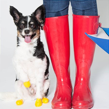 Pawz Boots Botas para Cachorros XX-Small XX-Pequeno