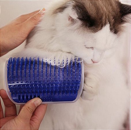 Auto Escovamento com Catnip para Gatos Azul