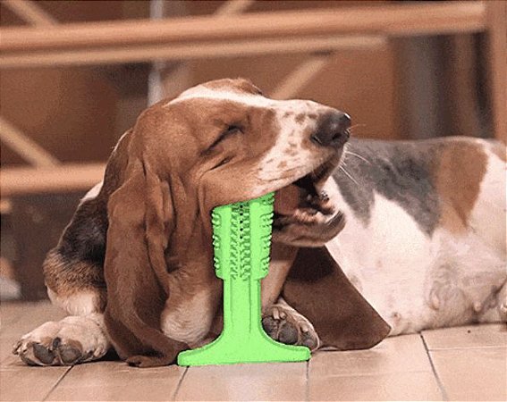Escova de Dentes Interativa para Cachorros Verde