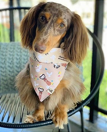 Bandana para Cachorros e Gatos Dupla Face São Francisco de Assis