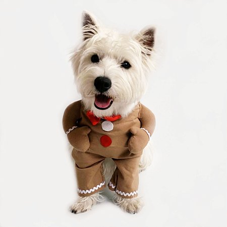 Fantasia de Natal para Cachorros Bolacha de Natal