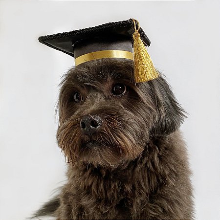 Fantasia Capelo Chapéu de Formatura para Cachorros e Gatos