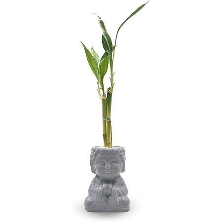 Vaso em Cerâmica Buda com Bambu da Sorte