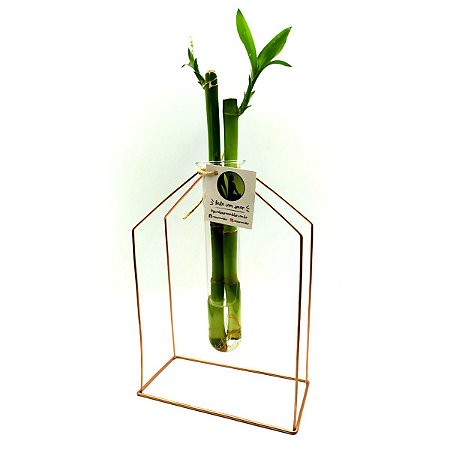 Casinha em Metal e Vaso de Vidro com Bambu da Sorte
