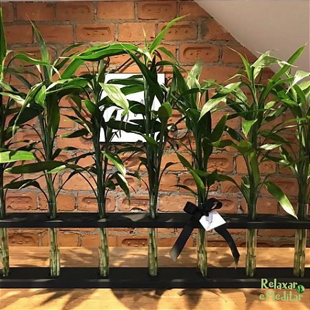 Suporte em Madeira com 21 Hastes de Bambu da Sorte