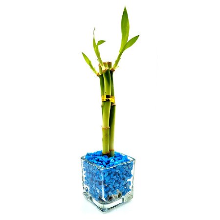 Vasinho com Pedras Azuis e Bambu da Sorte