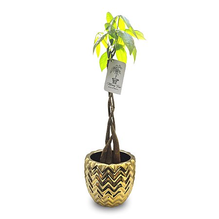Vaso Indiano em Metal com Árvore do Dinheiro