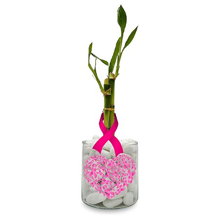 Bambu da Sorte com Vaso em Vidro (Outubro Rosa)
