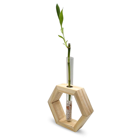 Bambu da Sorte com Suporte Hexágono em Madeira Pinus