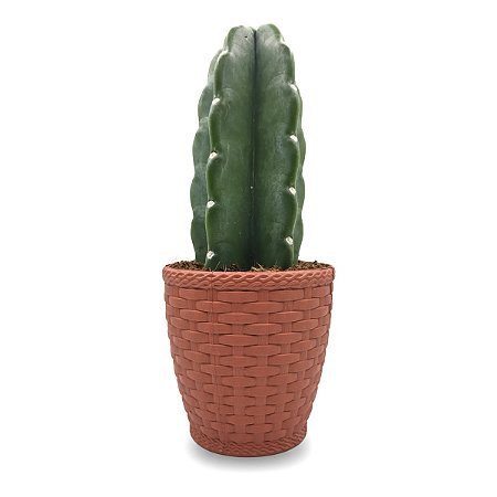 Cachepot Rattan com Cacto Mandacaru Sem Espinhos