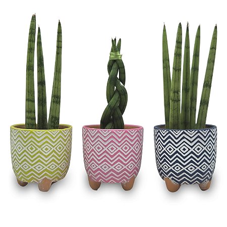 Cachepot com Lança de São Jorge (Pequena)