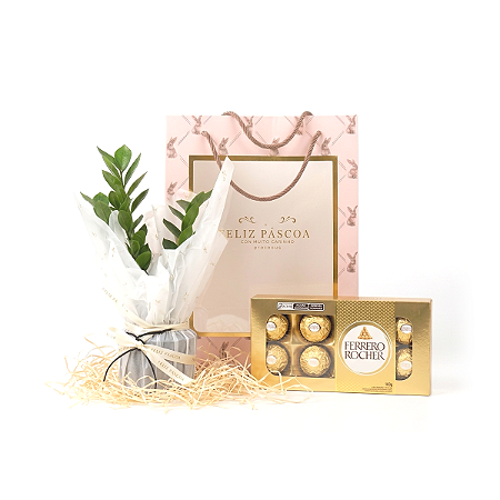 Especial de Páscoa com Zamioculca e Chocolate (Edição Limitada)