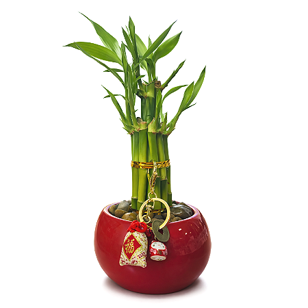 Vaso Oriental em Cerâmica com Torre de Bambu da Sorte (25cm)