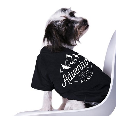 Camiseta preta para cães e gatos - Adventure Awaits