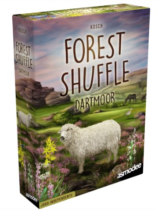 Forest Shuffle Dartmoor