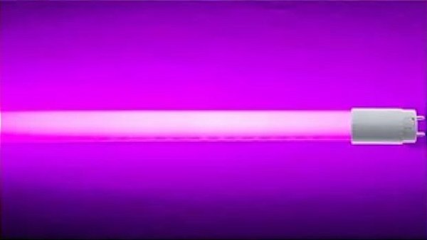 Caixa 30 Peças Lampada LED Tubular T8 18w - 1,20m - Rosa