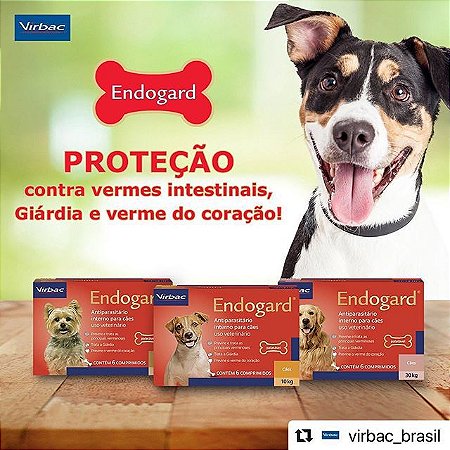 Vermífugo Endogard 2,5 kg com 6 comprimidos