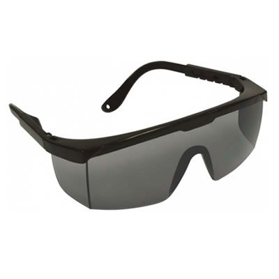 Óculos de Proteção em Acrílico Cinza Danny CA 9722