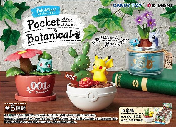 SET POKEMON: POCKET BOTANICAL: 1BOX (6PCS)