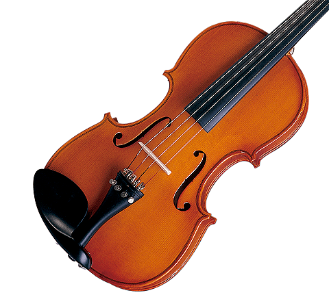 VIOLINO MICHAEL 3/4 VNM30 COM ESTOJO