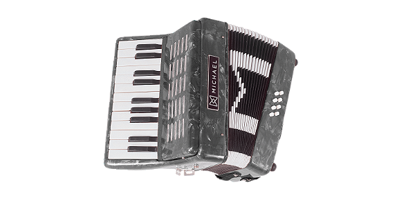 ACORDEON 8 BAIXOS 22 TECLAS MICHAEL ACM0822 COM BAG