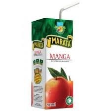 SUCO DE CAIXINHA MANGA