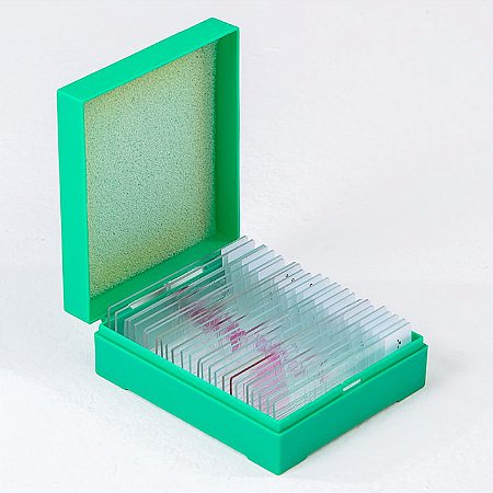 CONJUNTO DE HISTOLOGIA ANIMAL E VEGETAL, 25 LÂMINAS - B02-B25