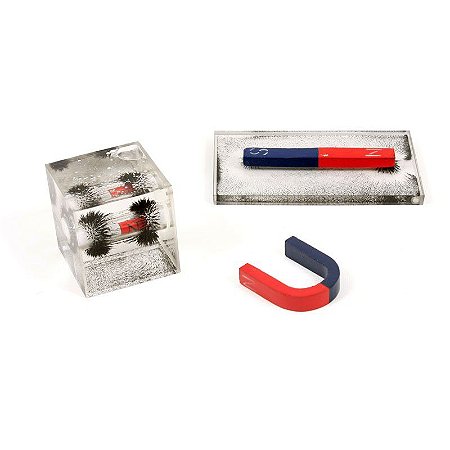 Kit de Física - Linhas de Campo Magnético 2D-3D