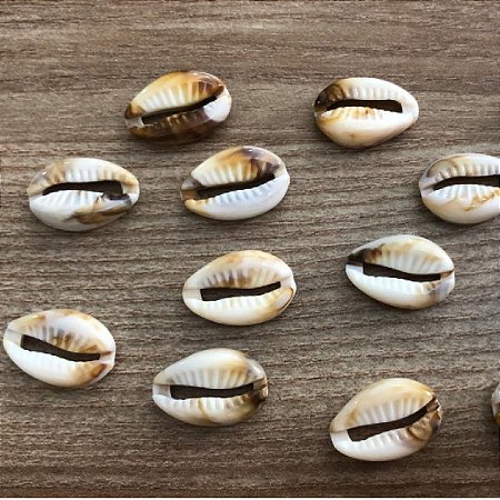 Buzios em Resina 1,8cm - 500 peças