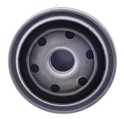 MASTERPARTS MWM MM100610 - Filtro de Óleo Lubrificante